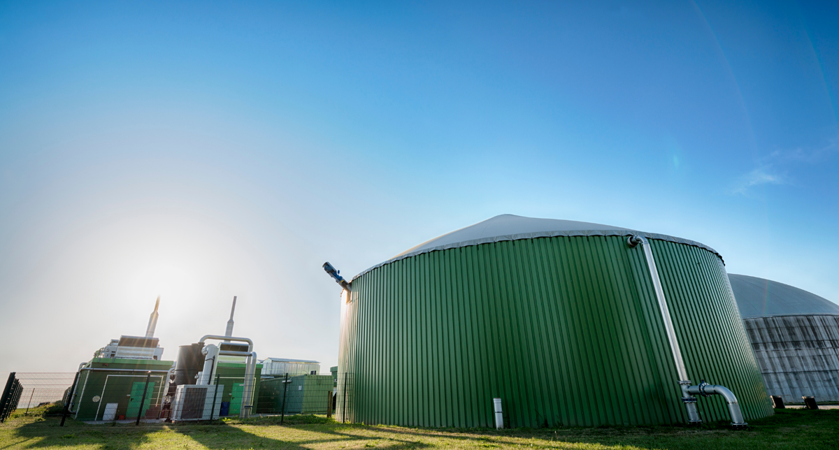 Home Bundesverband Bioenergie